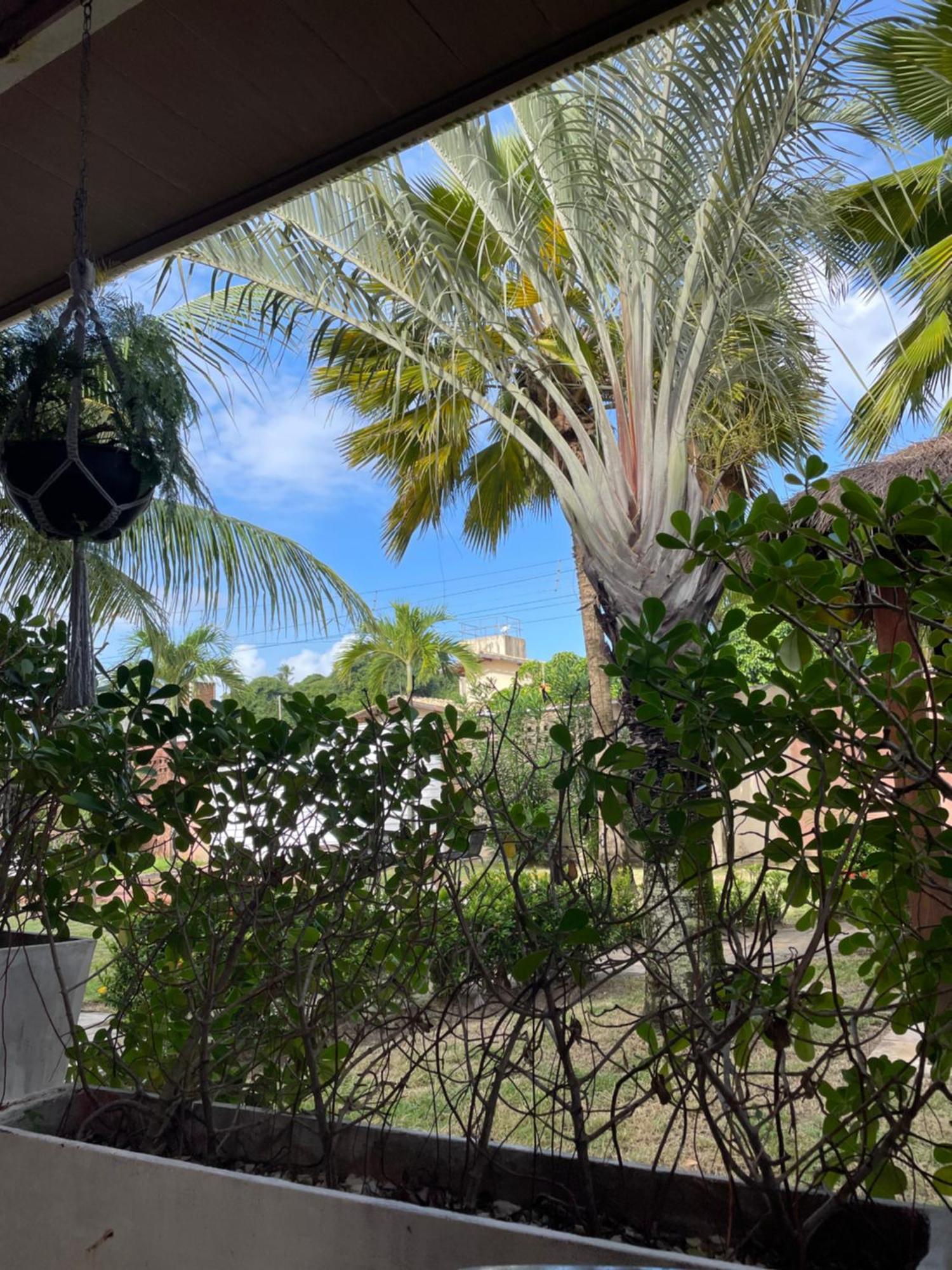 Hotel Sape Praia do Francês